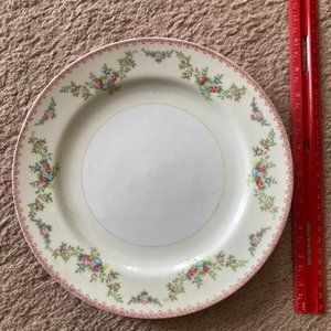 Vintage SCS Hand Painted plate